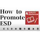 2How to Promotte ESD