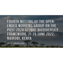 ポスト2020年グローバル生物多様性枠組みに関するオープンエンド作業部会第4回会合